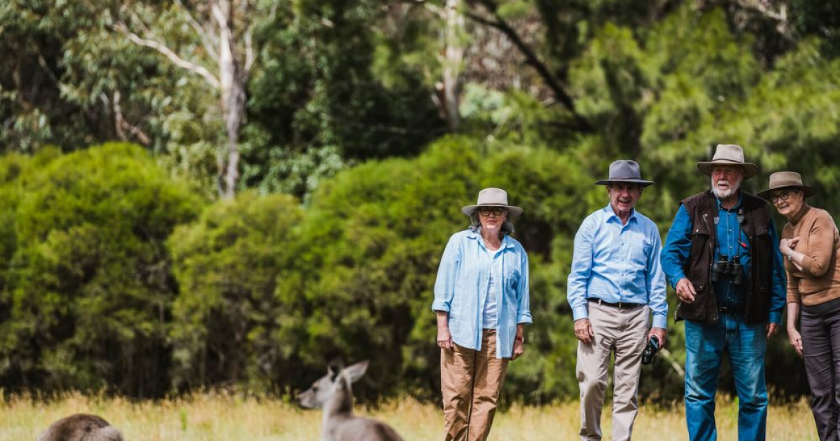 Top Wildlife Tours and Nature Adventures Across Australia