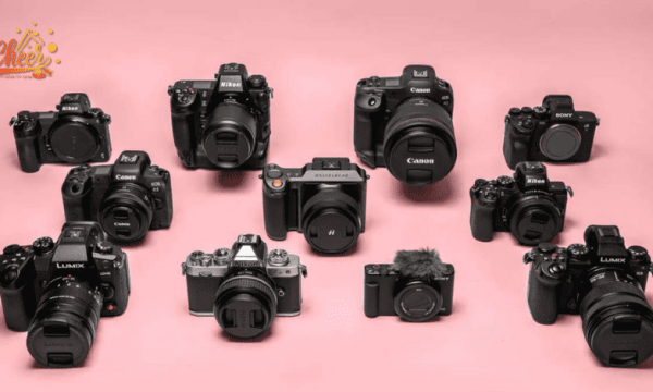 Top Camera Models Chosen by Australian Creators