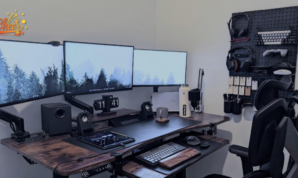 Top Gaming Accessory Models Australians Use