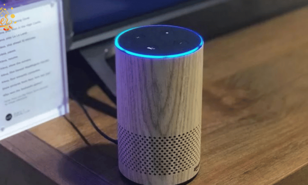 Smart Speaker Use Cases for Daily Life and Smart Homes Today