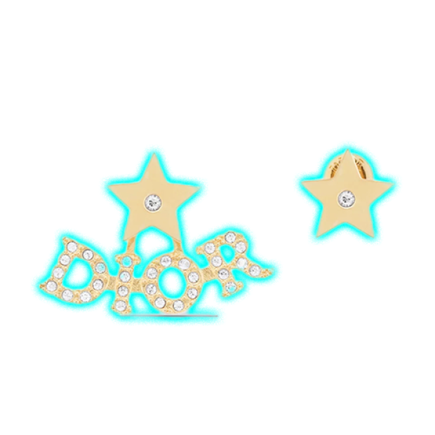Dior evolution Earrings