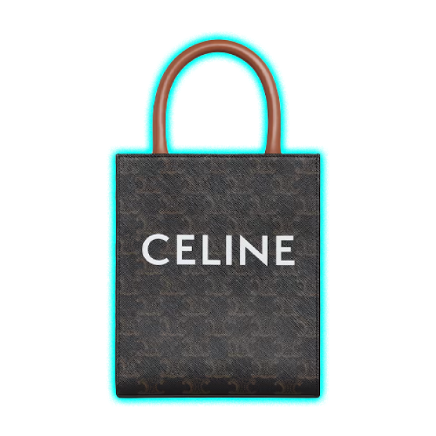 Celine Mini Vertical Cabas IN Triomphe Canvas with Celine print