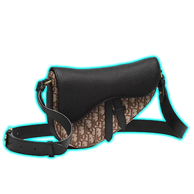 Dior Saddle Bag
