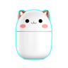 Mini Air Humidifier