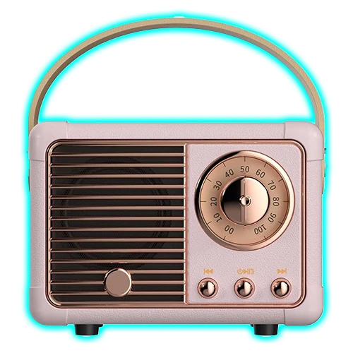 Mini Speaker