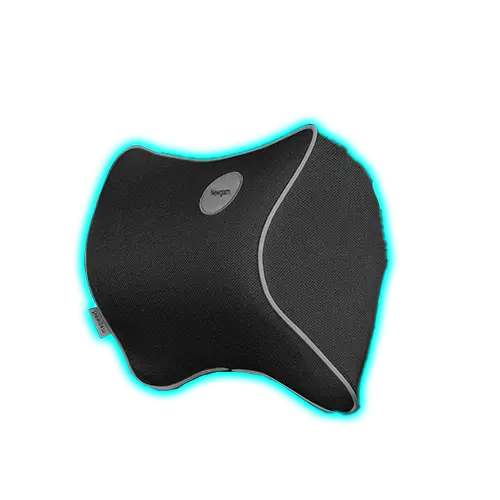 Newgam Car Pillow