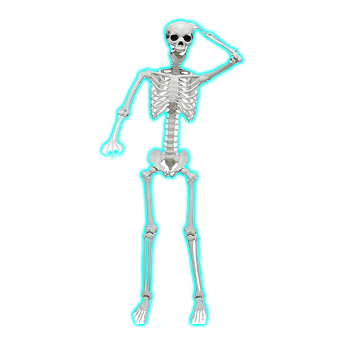 Skeleton Halloween Decorations