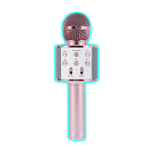 Karaoke Bluetooth Microphone