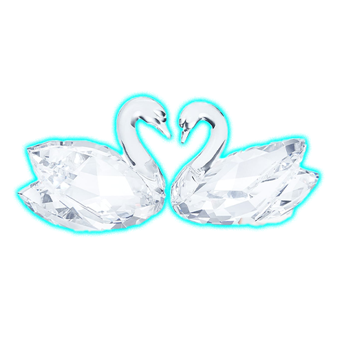Swan Couple