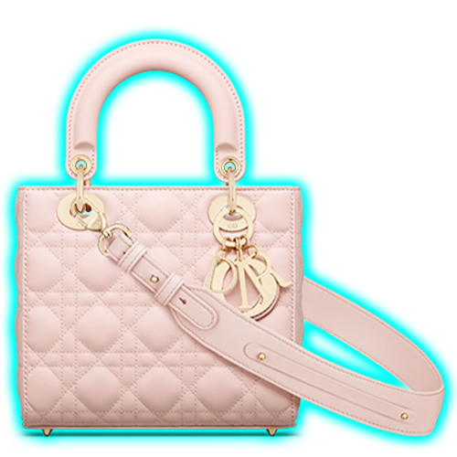 Small Lady Dior My ABCDior Bag