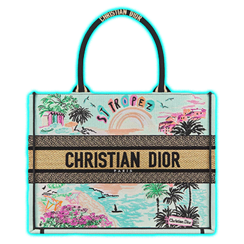 Dior Souvenir Medium Dior Book Tote