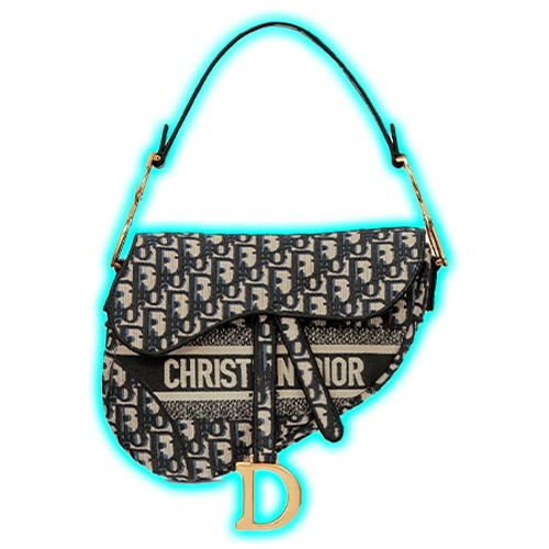 Saddle Bag Blue Dior Oblique Embroidery