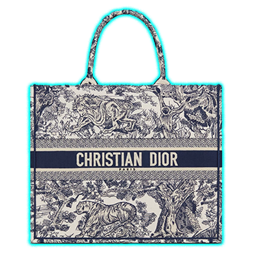 Large Dior Book Tote