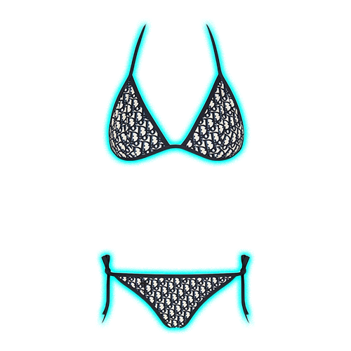 Dior Bikini