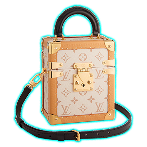 Louis Vuitton Camera Box Monogram Beige