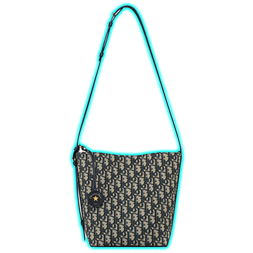 Small Diorstar Bucket Bag