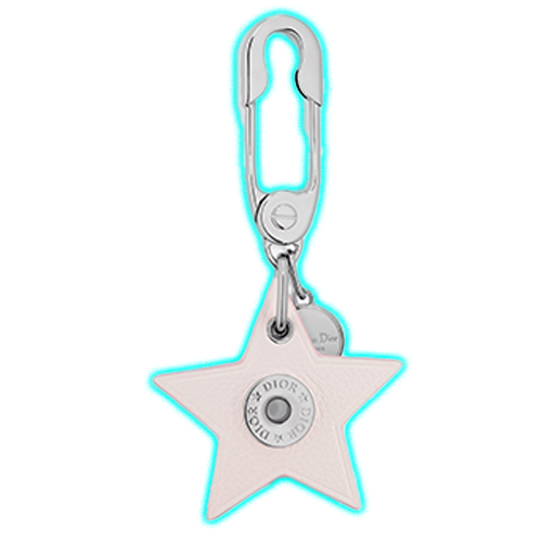 Dior Star Key Ring