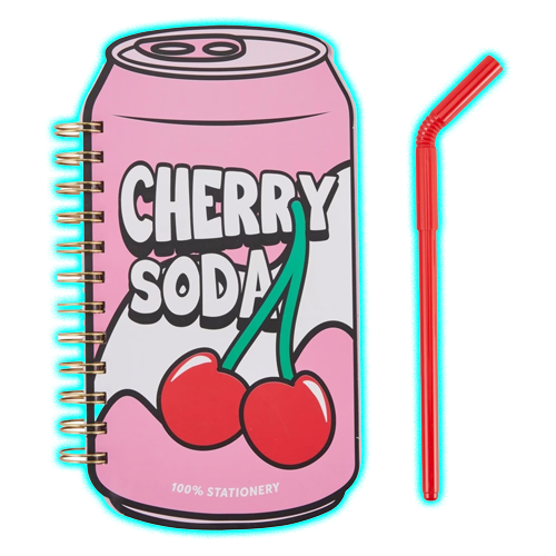 Soda Can Notebook with Pen