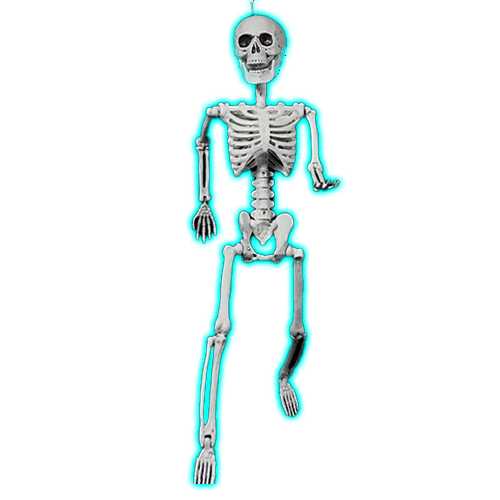 Halloween Skeleton Posable - 60cm