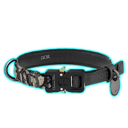 Dior Pet Collar