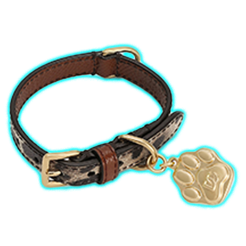 Dolce Gabbana Dog collar