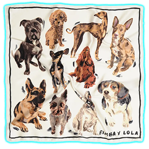 Bimba y Lola dog-print scarf