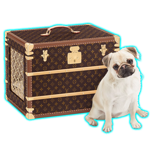 LV Malle Chien
