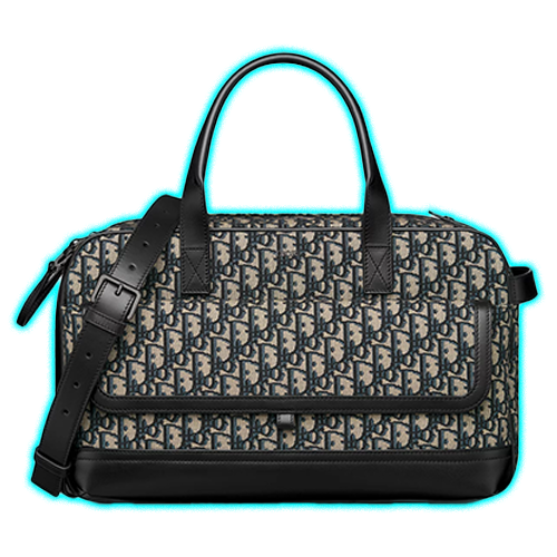 Dior Hit the Road Pet Carrier Bag