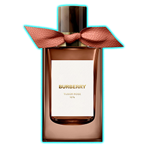 Burberry Signatures Tudor Rose Eau de Parfum Unisex 100ml