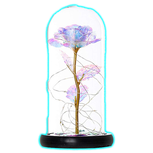 Glass Preserved Eternal Rose