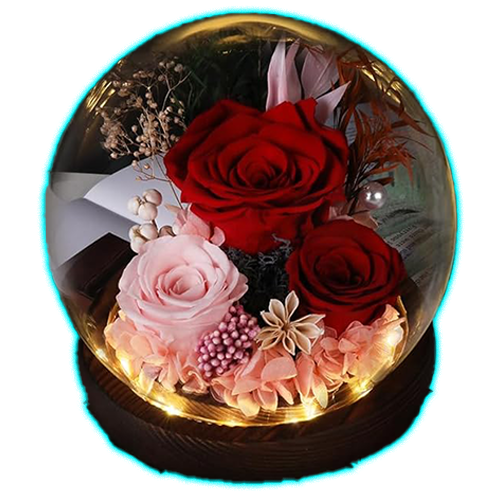 Rose in Glass Dome