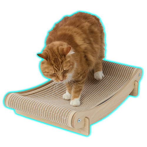Cat Scratcher Bed