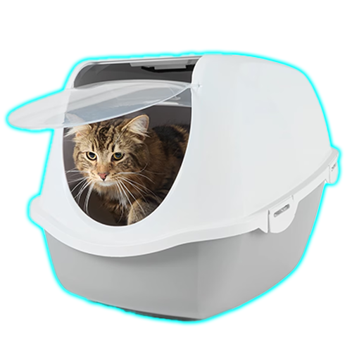 Cat Litter Enclosure