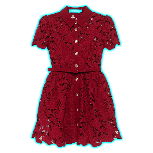 Self-Portrait Floral-lace Mini Dress