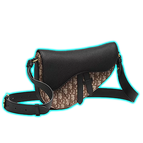 Dior Saddle Bag