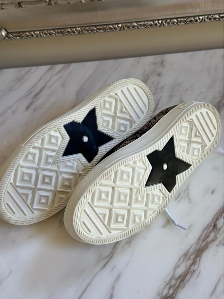 Dior embroider canvas sneakers