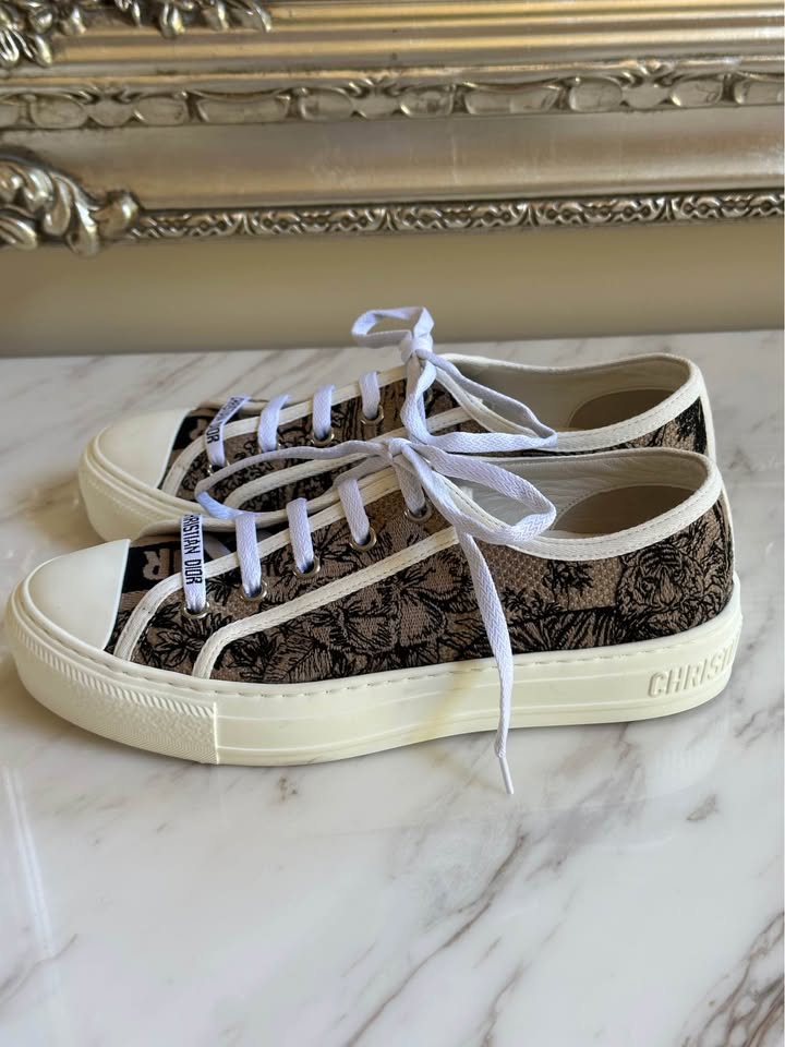 Dior embroider canvas sneakers