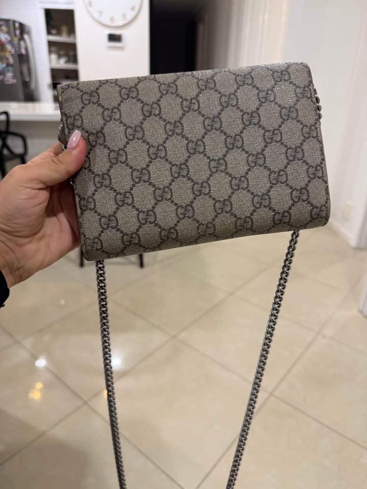 Gucci Bag Authentic