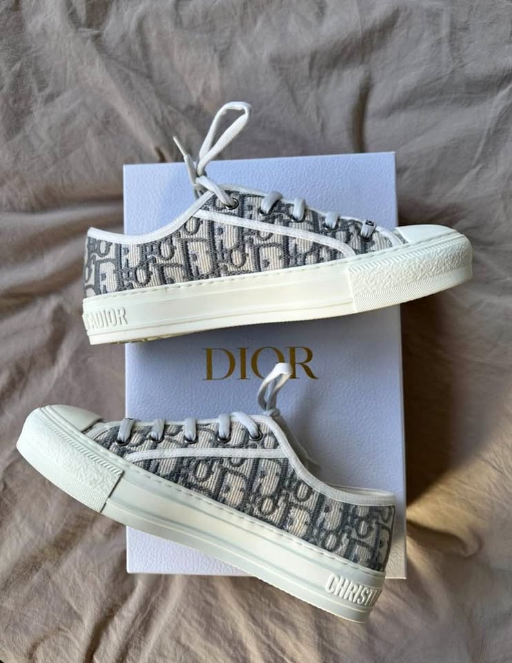 Dior Walk n Dior Sneakers