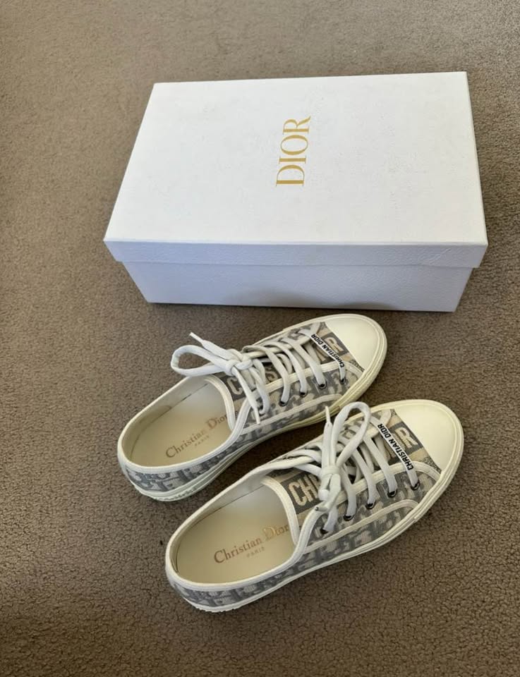 Dior Walk n Dior Sneakers