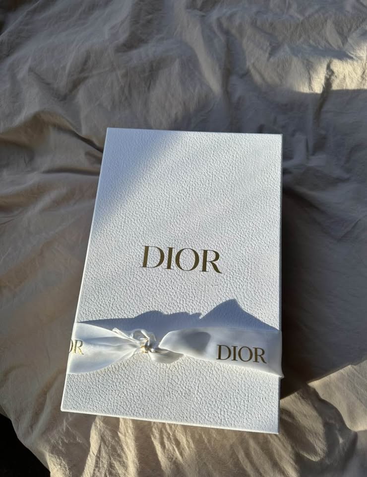 Dior Walk n Dior Sneakers