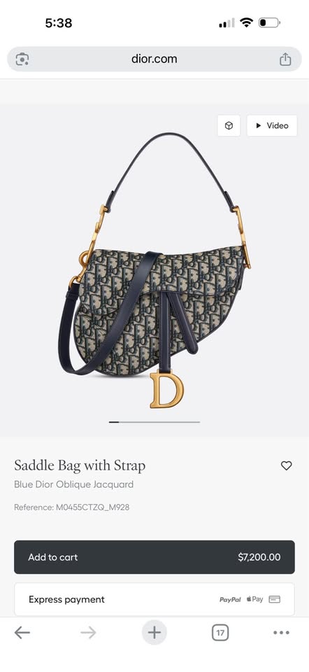 Genuine dior Saddle bag
