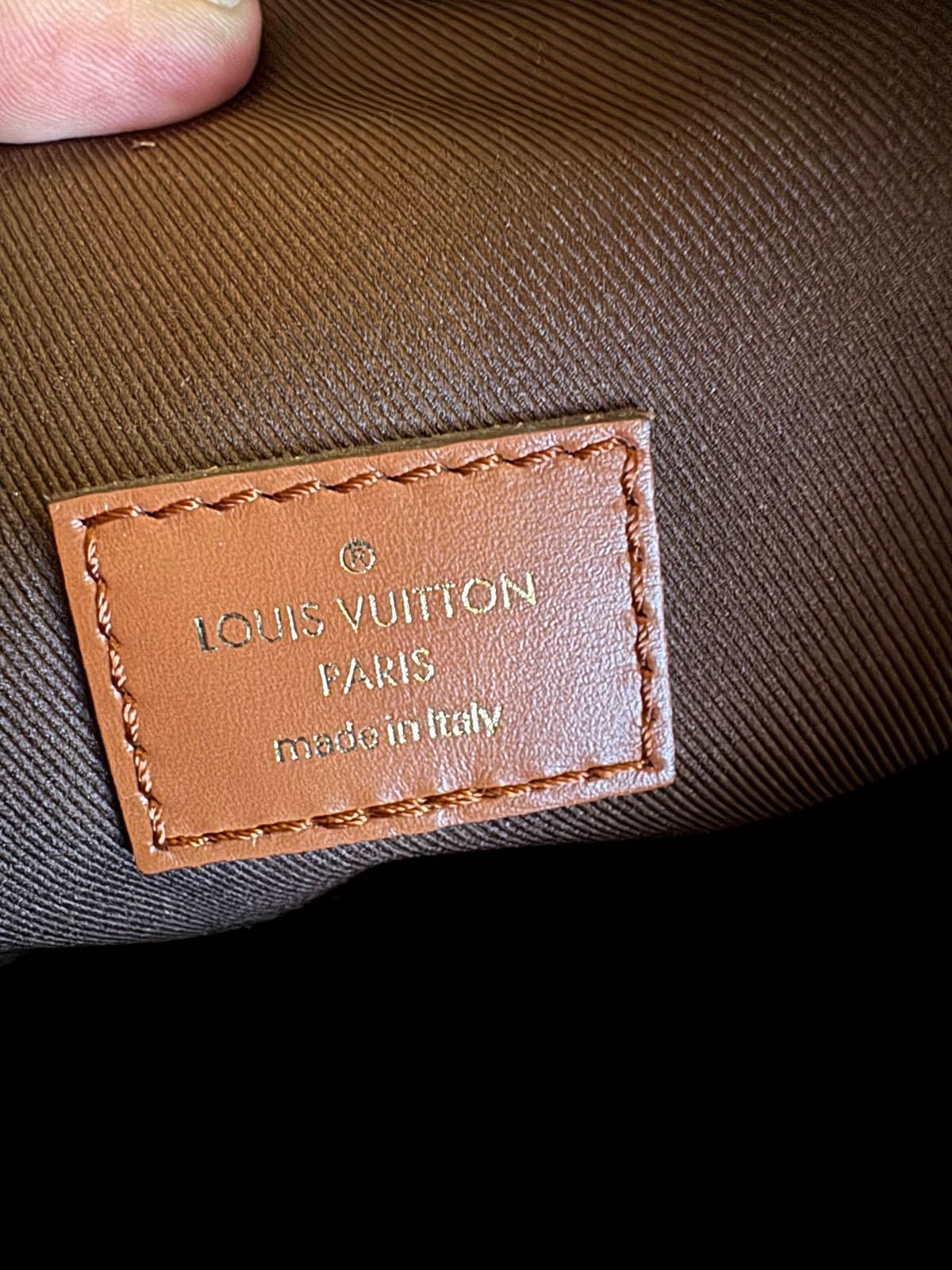 louis vuitton loop hobo bag