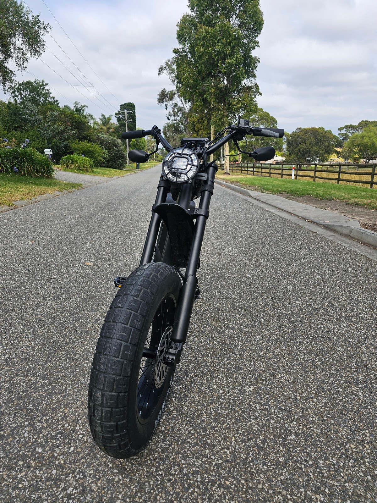 Harley Davidson inspired Cruiser Style Ebike