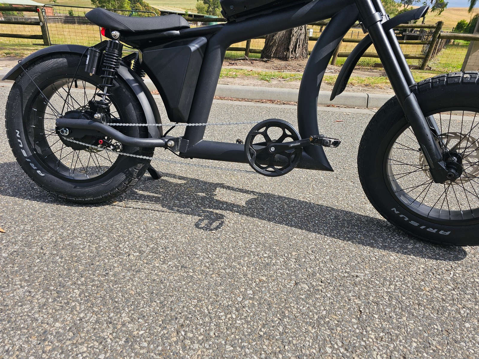 Harley Davidson inspired Cruiser Style Ebike