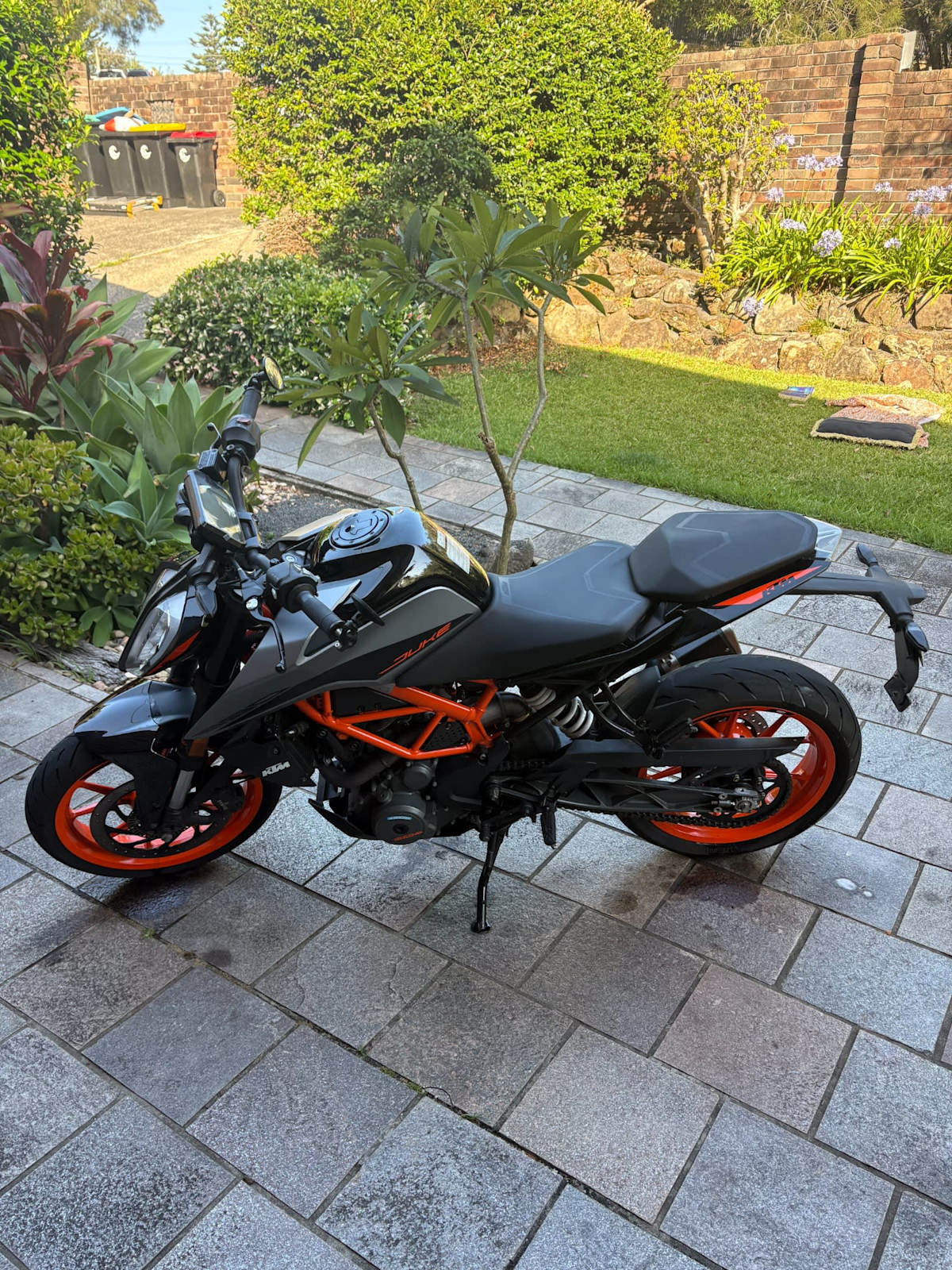 KTM duke 390 - 2022