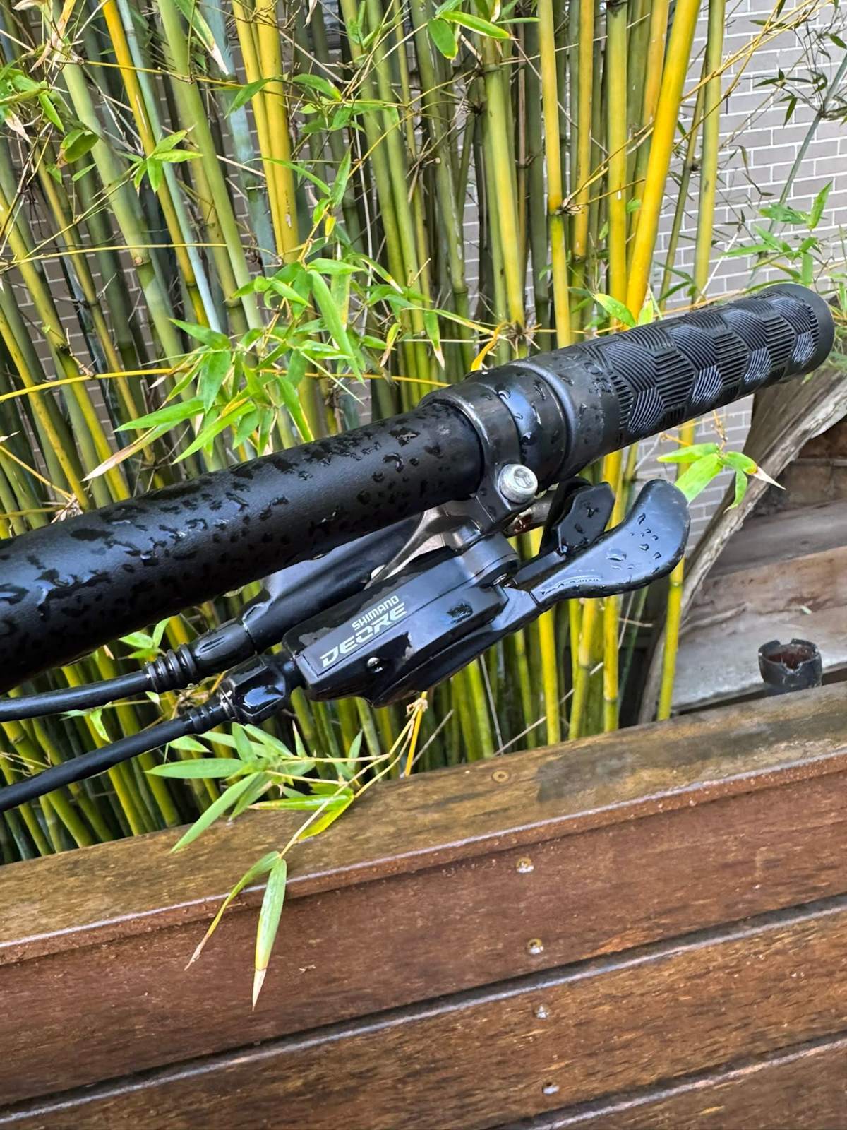 Trek Marlin 7 Bike mountain road cruising